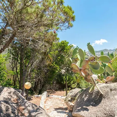 Capo Schiera Le Mimose Vakantiehuis *