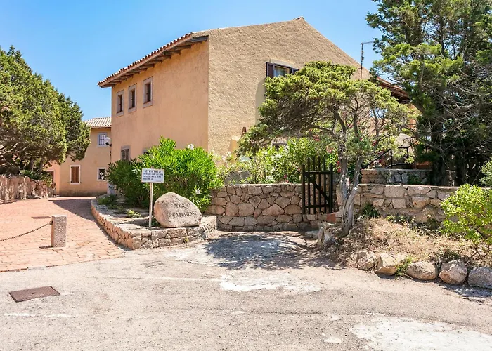 Capo Schiera Le Mimose