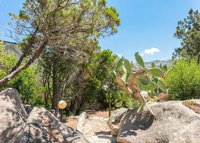 Capo Schiera Le Mimose Nyaraló *