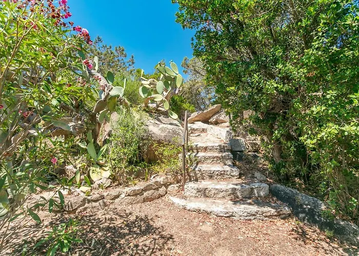 Capo Schiera Le Mimose