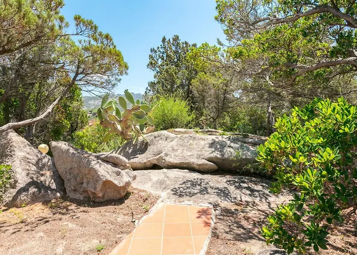 Hébergement de vacances Capo Schiera Le Mimose *